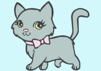 animali