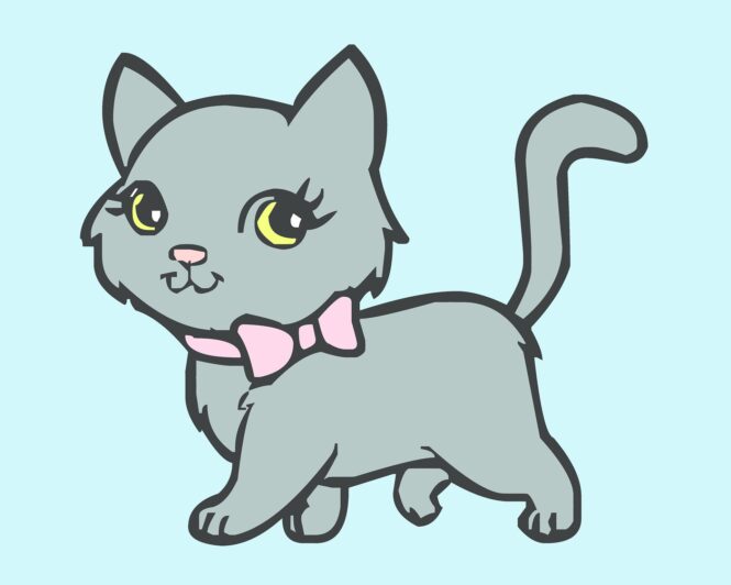 animali