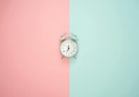 diritto alla revisione